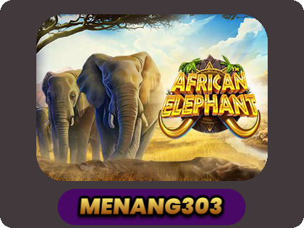 African Elephant